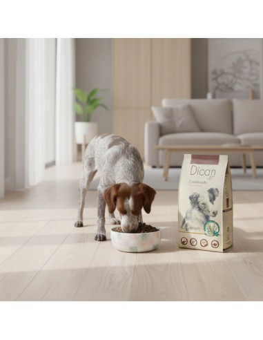 Dican Up Crossbreeds (Adult) |Dry food| Dibaq