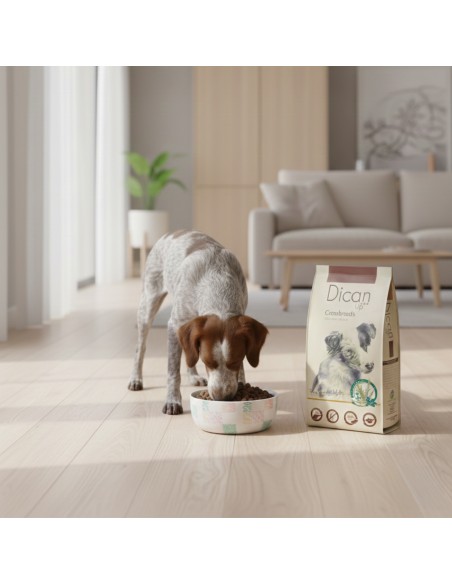 Dican Up Crossbreeds (Adulto) |Alimento Seco| Dibaq