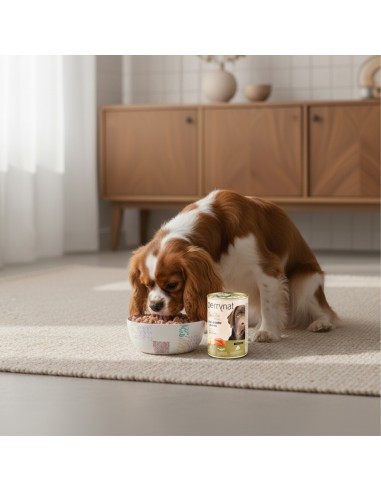 Perrynat Grain Free Salmon and Potato |Wet food| Dibaq