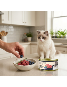Gatynat Buey y arándanos |Alimento Húmedo para gatos | Dibaq 2
