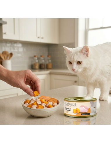 Gatynat Pollo y Calabaza |Alimento Húmedo para gatos | Dibaq