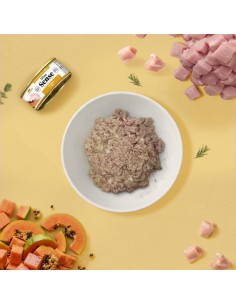 Dibaq Sense Cat Chicken with Papaya |Wet food for cats| Dibaq 2