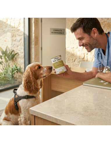Dibaq Vet Care Gastrointestinal Salmão |Rações húmidas veterinárias para cães| Dibaq