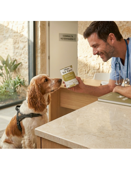 Dibaq Vet Care Gastrointestinal Salmón |Dietas veterinarias húmedas para perro | Dibaq