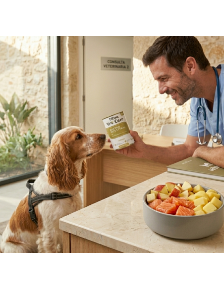 Dibaq Vet Care Gastrointestinal Salmón |Dietas veterinarias húmedas para perro | Dibaq