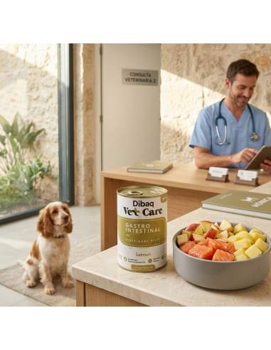 Dibaq Vet Care Gastrointestinal Salmón |Dietas veterinarias húmedas para perro | Dibaq