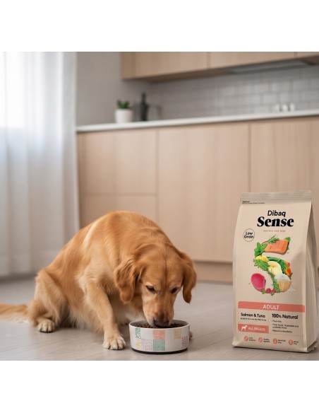 Dibaq Sense Low Grain Adult Salmon and Tuna |Dry food for dogs| Dibaq