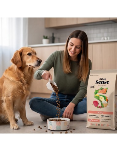 Dibaq Sense Low Grain Adult Salmon and Tuna |Dry food for dogs| Dibaq