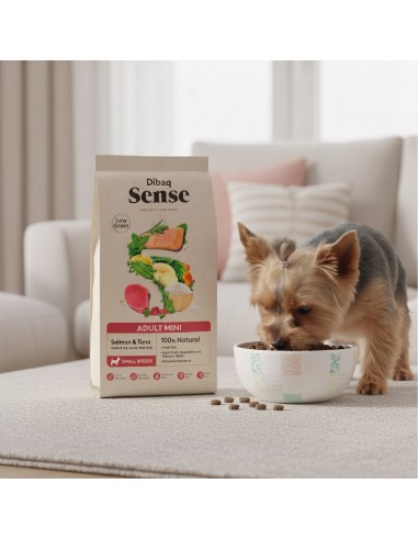 Dibaq Sense Low Grain para Adultos Mini Salmão e Atum |Alimento Seco para cães| Dibaq