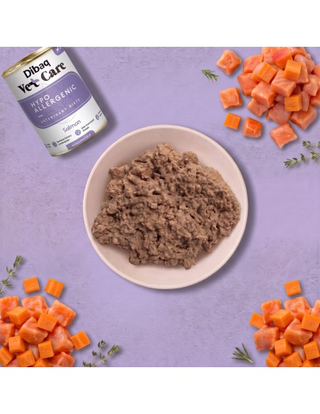 Dibaq Vet Care Hypoallergenic Salmón |Dietas veterinarias húmedas para perro | Dibaq