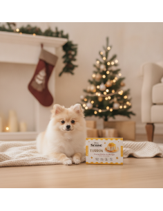 Dibaq Sense Nougat Mango Panna Cotta |Dogs| Dibaq 2