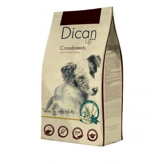 Dican Up Crocifisso (Adult)