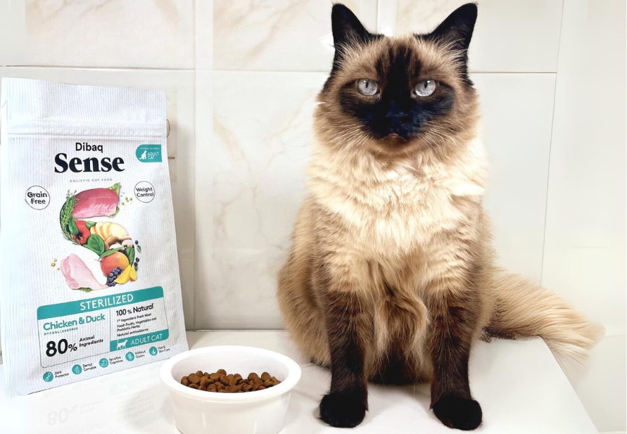 take care of my cat's fur