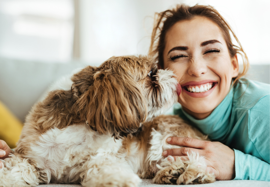 Comemore o Dia dos Namorados com seu animal de estimação