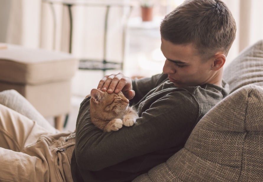 Comemore o Dia dos Namorados com seu animal de estimação
