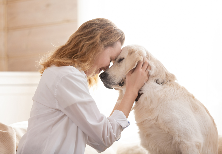 benefícios dos animais de estimação para a saúde humana