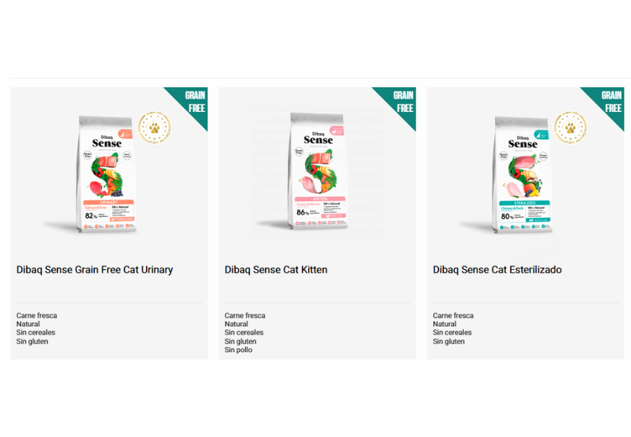 cats with kidney problems