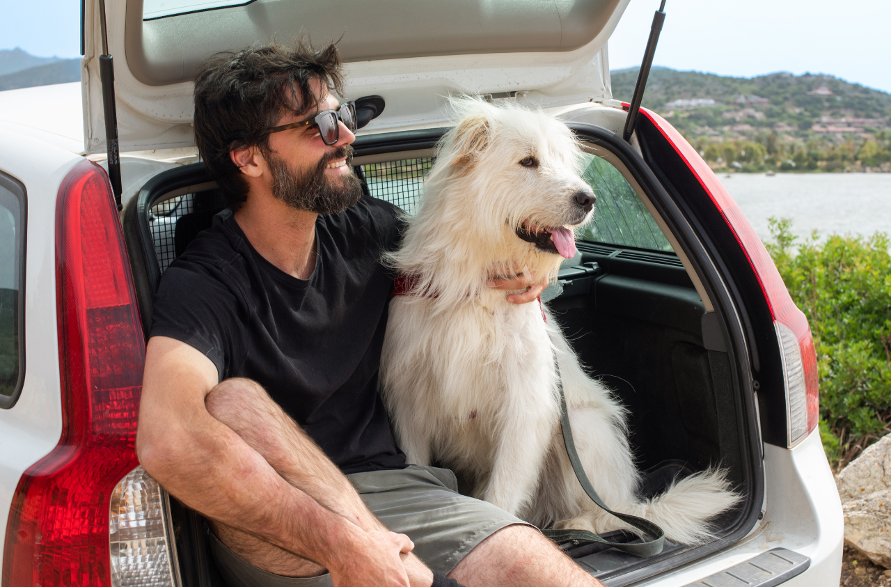 traveling with your pet by car