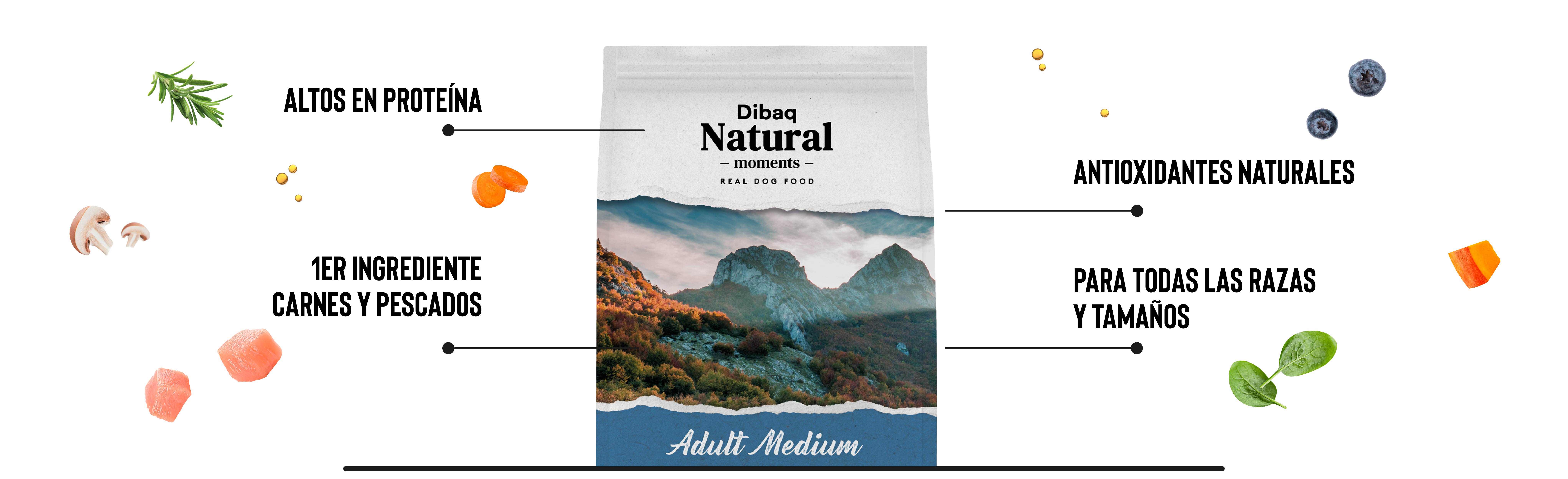 Banner con saco dibaq natural moments