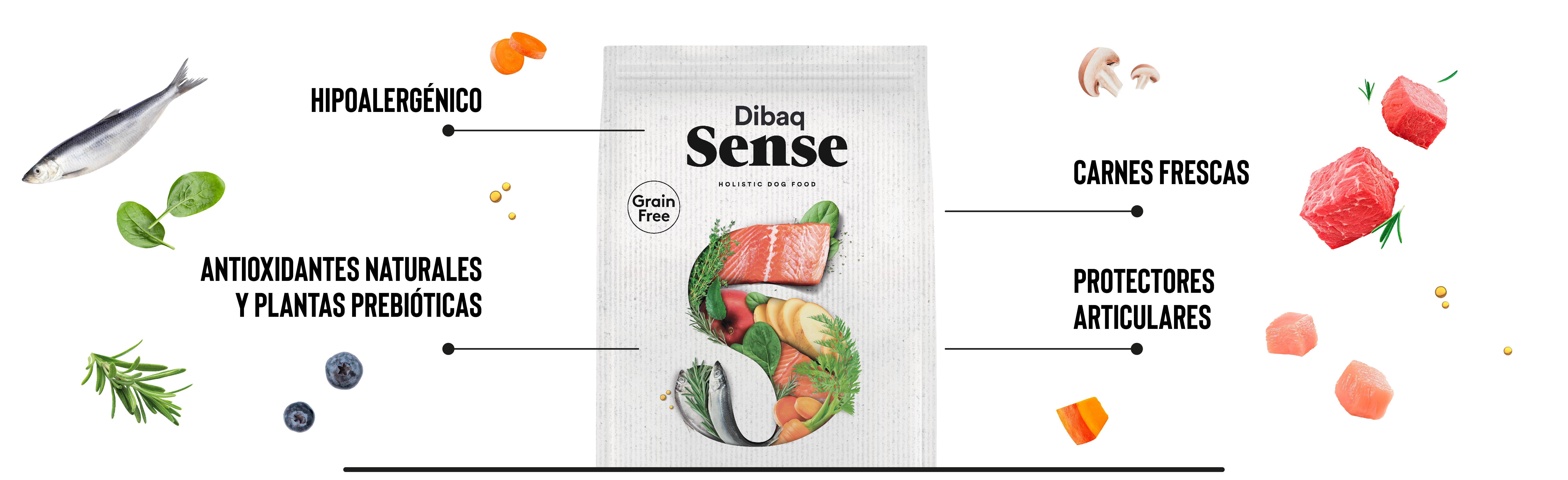 Dibaq Sense