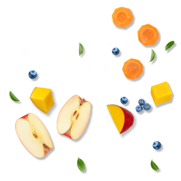 Frutas Ex&oacute;ticas y Verduras Fresca