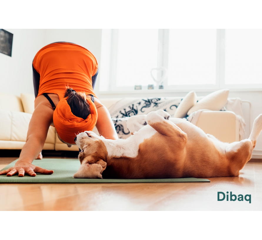 Do you practice yoga? Now you can do it with your dog: discover