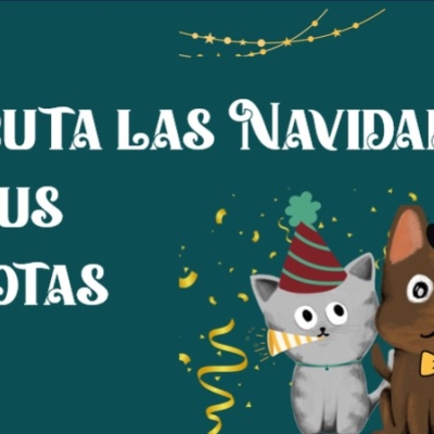 ¿Cómo disfrutar las Navidades con tu mascota?