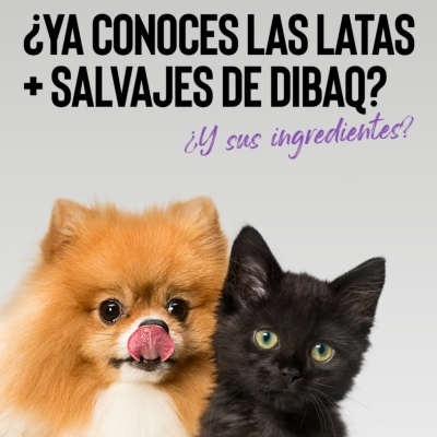 Latas Salvajes Dibaq Sense: El festín más natural para tu perro y tu gato