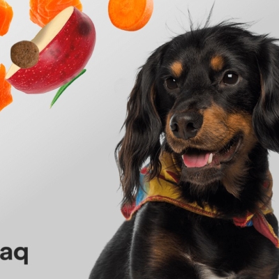 How to change your dog's diet without causing diarrhea