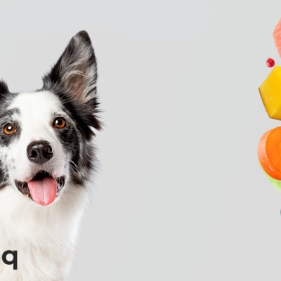 Cómo reducir la ansiedad de tu perro a través de su alimentación